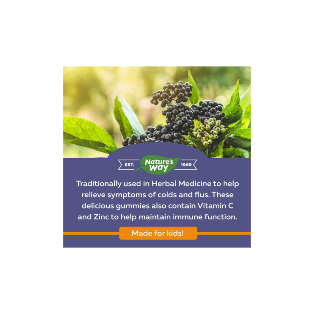 Elderberry Gummies with Vitamin C & Zinc for Kids (4+) - Immune Support from Nature's Way (60 Gummies) - Image 3