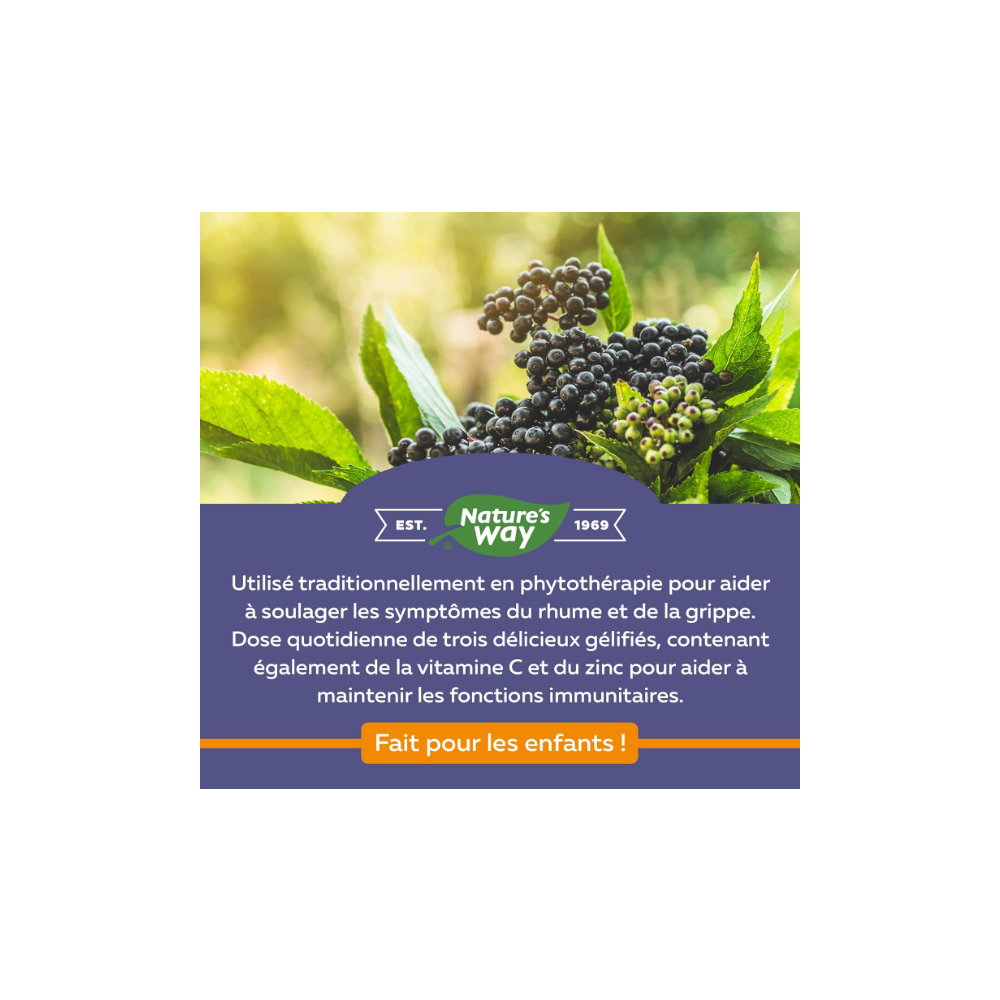 Elderberry Gummies with Vitamin C & Zinc for Kids (4+) - Immune Support from Nature's Way (60 Gummies) - Image 4